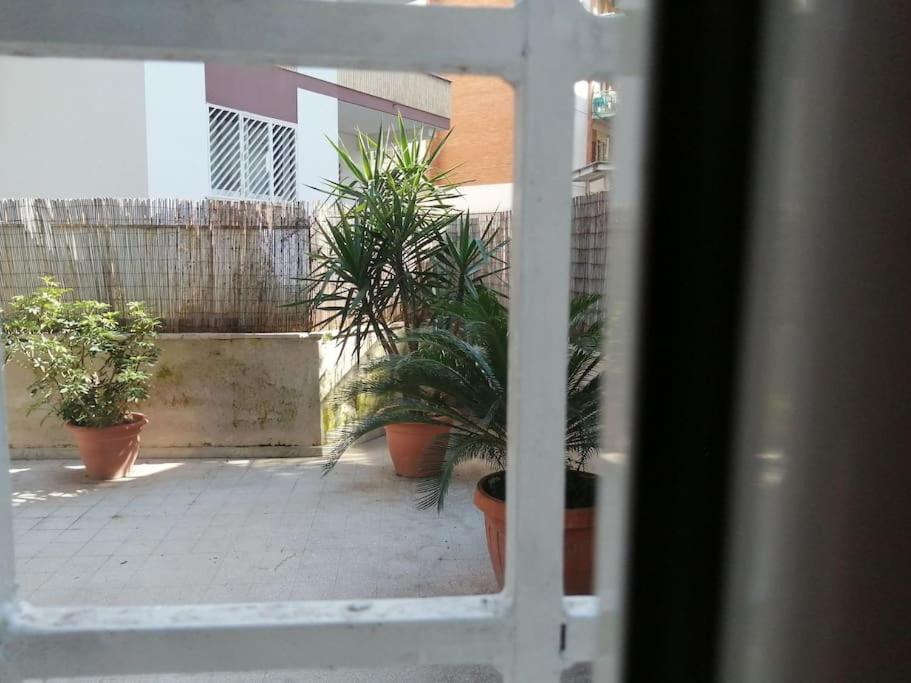 Appartamento Casa Paco Grazioso Con Terrazza *